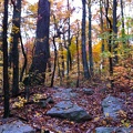 Sheltowee Trace, Clear Creek Furnace - 15